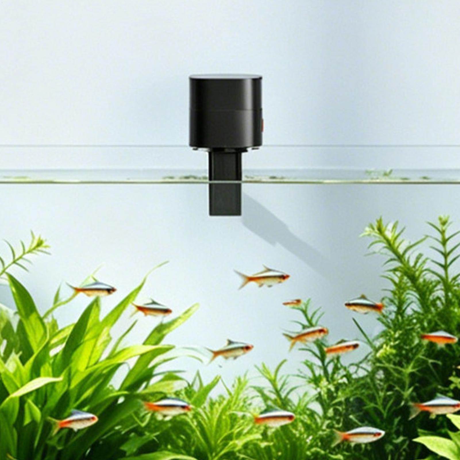 Automatic Fish Feeder Automati - Fishing Line Dispenser 评论和价格